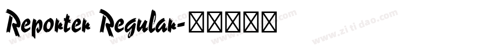 Reporter Regular字体转换